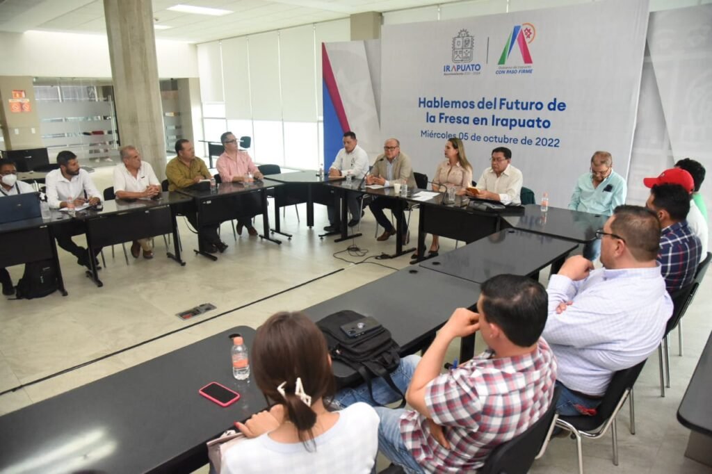 Trabajan en plan para impulsar cultivo de fresa