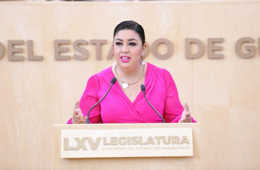 La diputada Katya Soto, compartió ante la tribuna los objetivos de esta iniciativa.