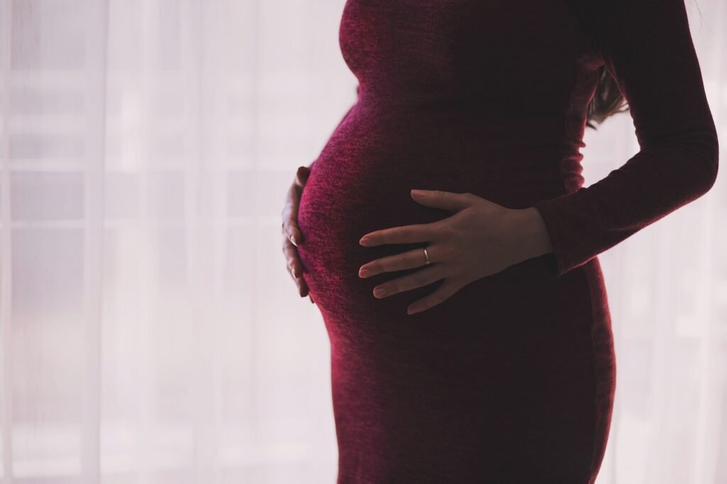 Preocupa los diversos tipos de violencia que sufren las mujeres embarazadas./Foto: pixabay