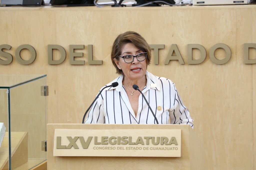 Irma Leticia González Sánchez fue quien dio a conocer esta iniciativa ante el congreso.