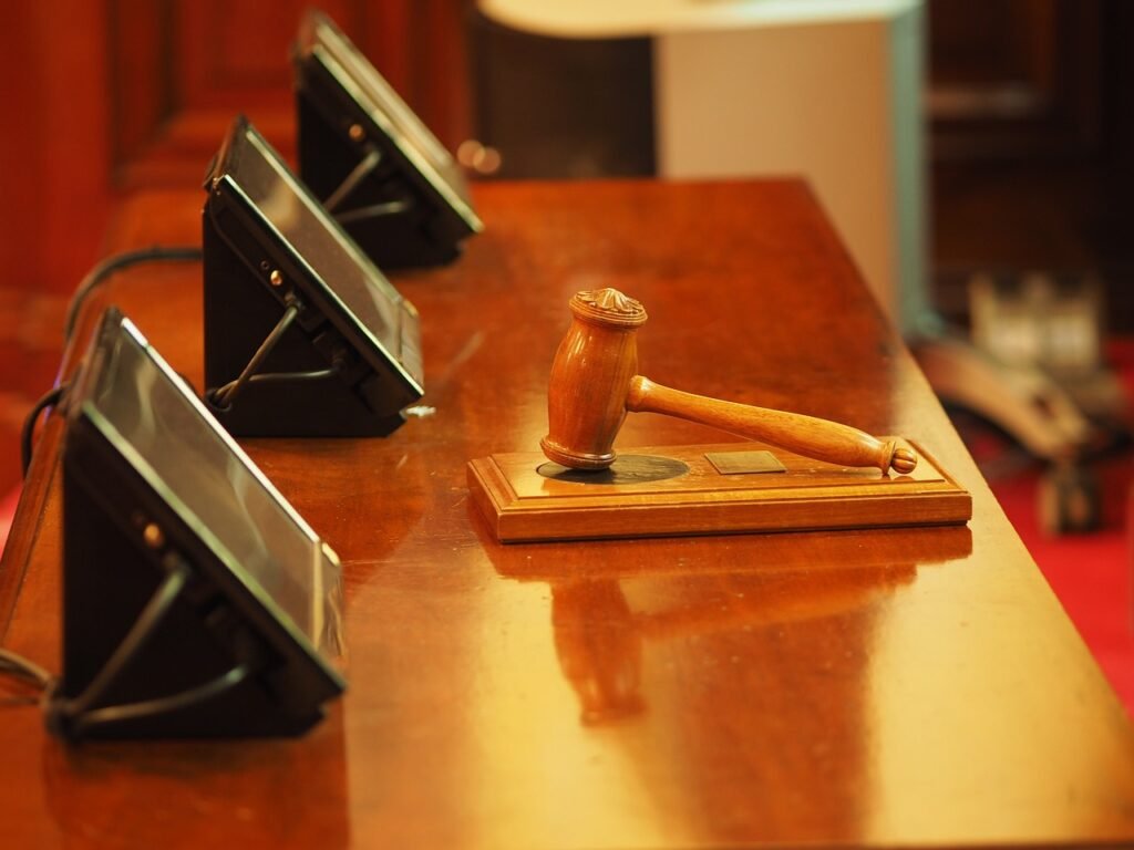 Se informó que la Corte Internacional de Justicia celebra la primera audiencia pública./Foto: Pixabay