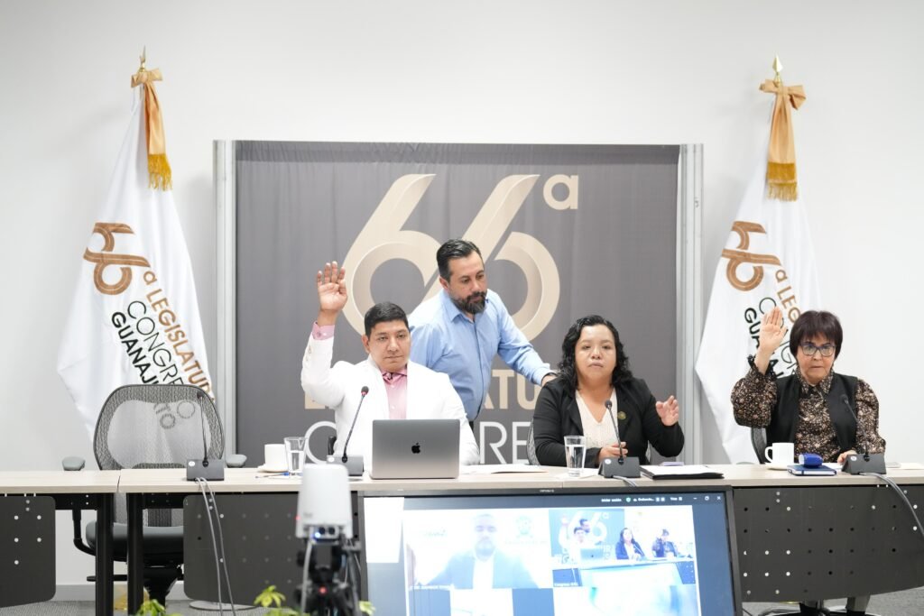 En la reunión, se determinó que el dictamen será puesto a disposición de la mesa directiva para que sea sometido a discusión y votación.