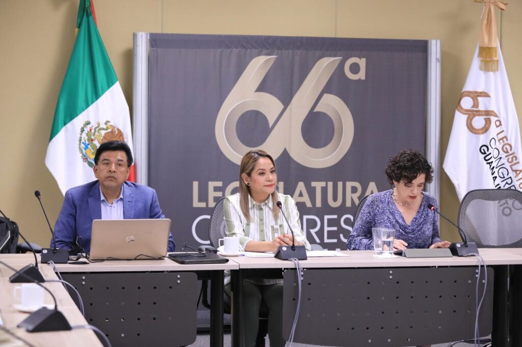 Los asistentes destacaron la importancia de trabajar por estas iniciativas en Guanajuato.