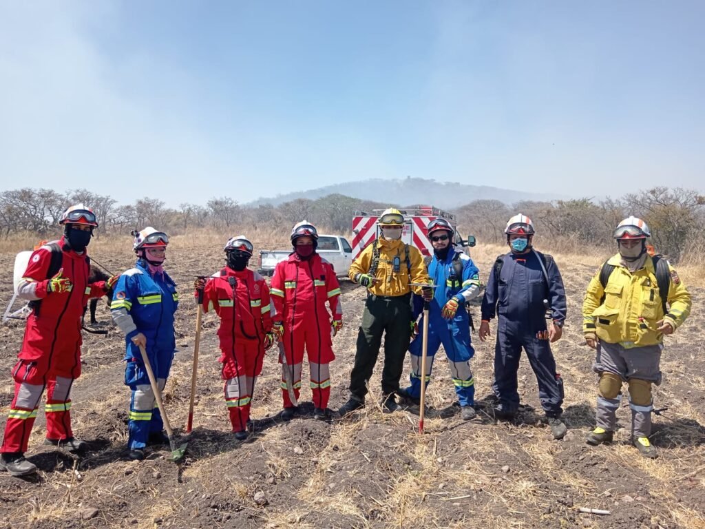 En el año 2024, en San Miguel de Allende se registraron aproximadamente mil incendios tipo forestal.
