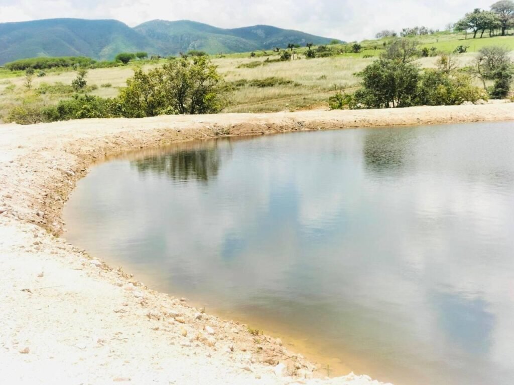 El presidente municipal, Adrián Hernández Alejandri destacó que su gobierno realiza obras que ayuden al medio ambiente.