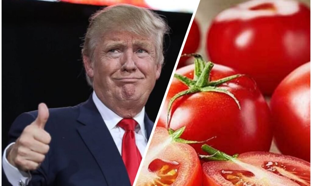Estados Unidos impone una cuota compensatoria de 17.09% al jitomate mexicano y ya hay afectaciones.