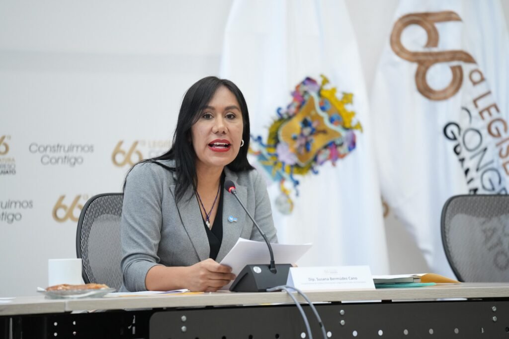 la diputada Susana Bermúdez reconoció que el gasto promedio en salud de los hogares mexicanos creció un 40 % entre 2016 y 2024.