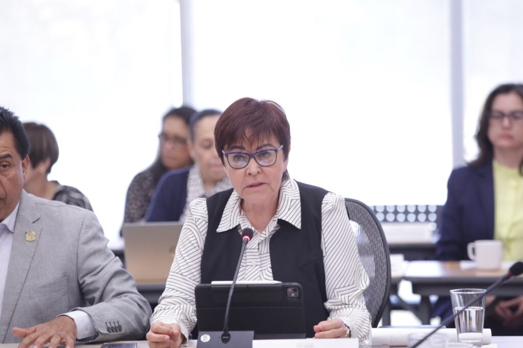 Ana María Esquivel Arrona advirtió que la situación del Hospital Regional del Bajío no puede normalizarse y requiere acciones inmediatas del Gobierno Federal
