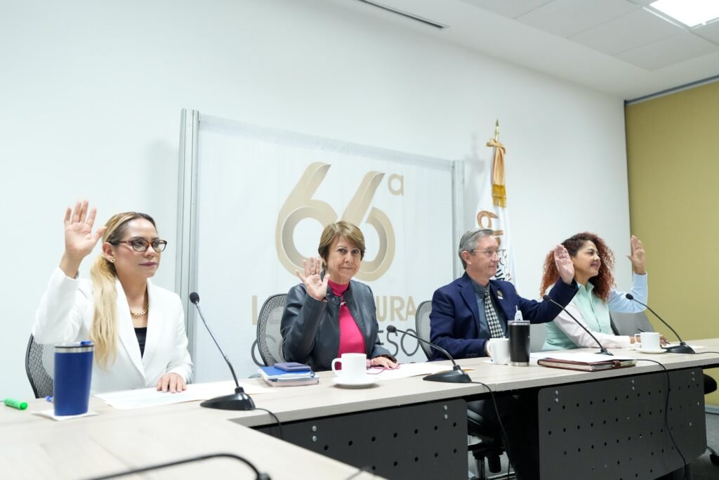 PAN y PRD impulsan reforma para fortalecer la atención de las mujeres en Guanajuato Fue la Comisión de Salud Pública, quien aprobó el dictamen de la iniciativa presentada por el PAN y PRD.