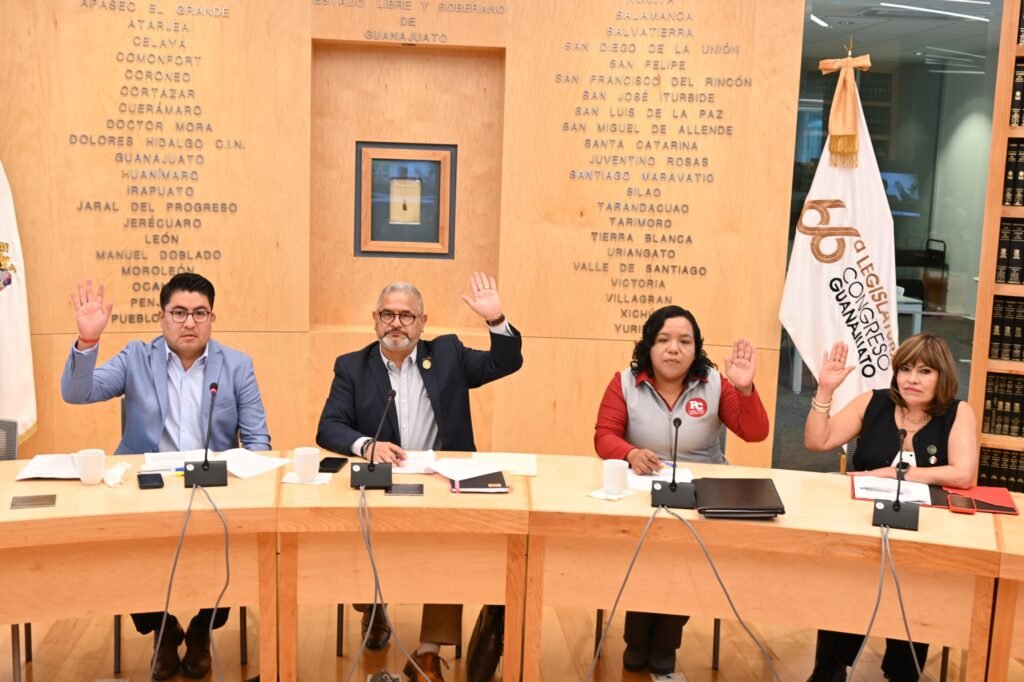 La Comisión de Asuntos Municipales, destacó la necesidad de brindar a los guanajuatenses calles accesibles.