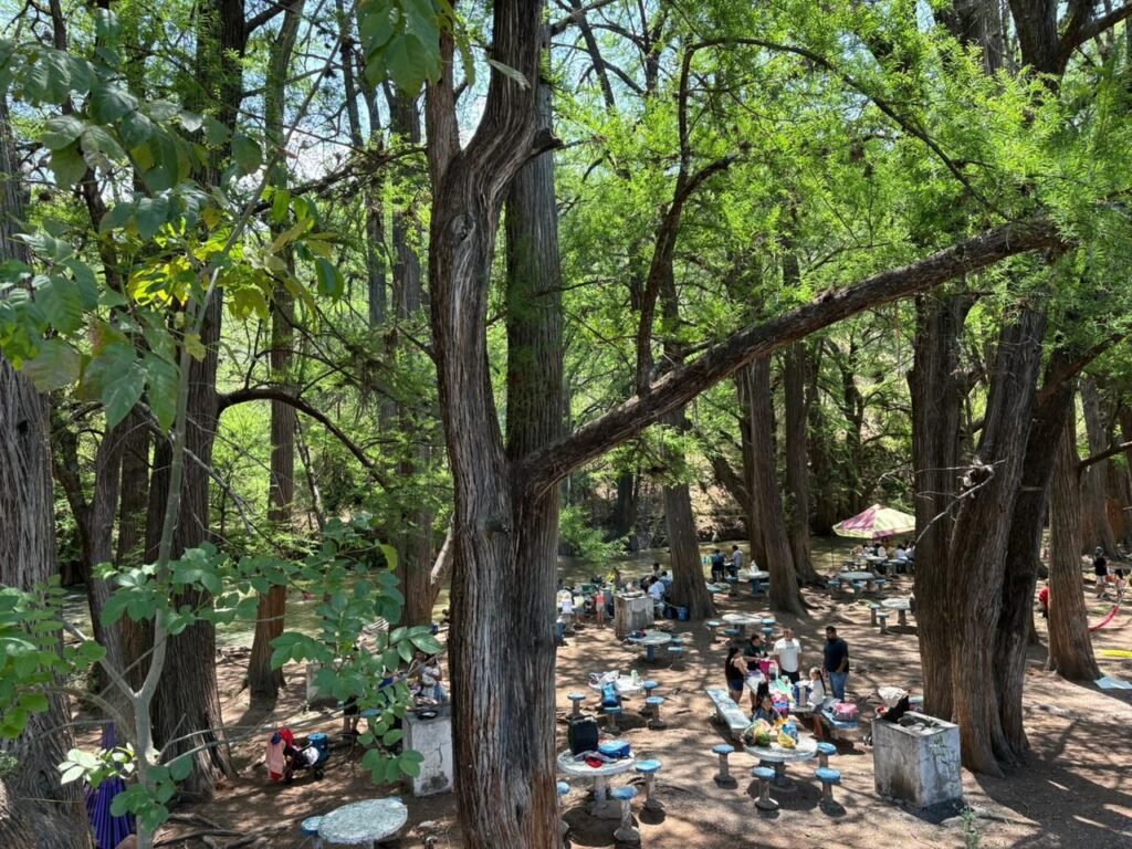 Disfrutan miles de los alrededores de Manuel Doblado El Área Natural Protegida “Las Musas" ha sido uno de los lugares más visitados de Manuel Doblado.