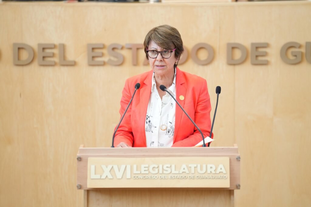 A unos días del Mundial, PAN pide reforzar acciones contra el ébola La diputada Angélica Casillas pide mantener en operación permanente las alertas sanitarias en Guanajuato.