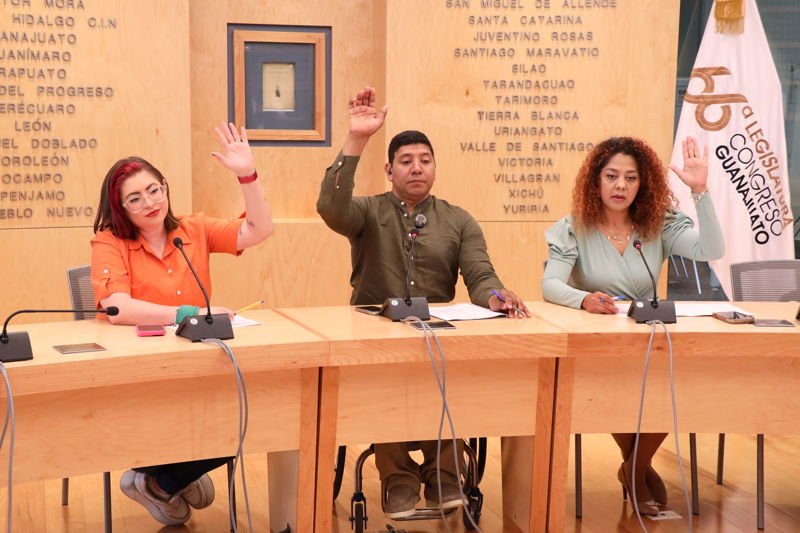 Trabajan para fortalecer la atención a la salud mental de las juventudes La Comisión para las Juventudes y Deporte del Congreso del Estado sigue trabajando a favor de la juventud de Guanajuato.