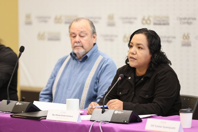 Trabajan a favor de las personas con discapacidad La diputada Plásida Calzada Velázquez destacó la importancia de que estas voces se escuchen por parte de las personas con discapacidad.
